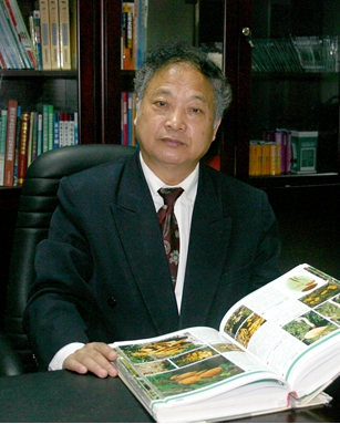 卯晓岚