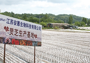 长白山生产基地